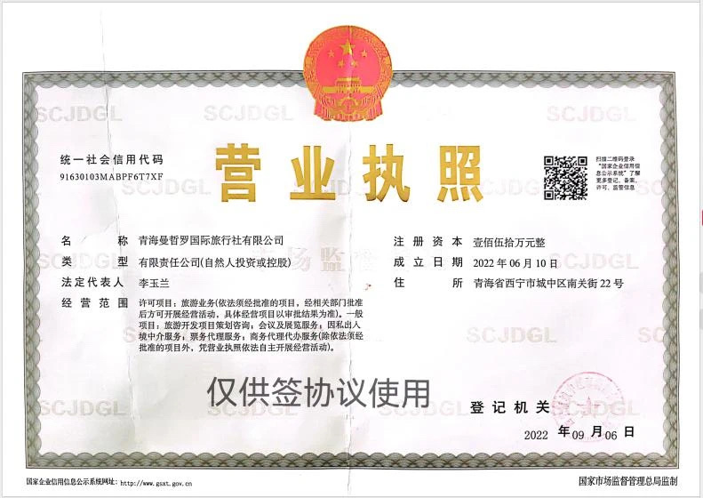 公司团队